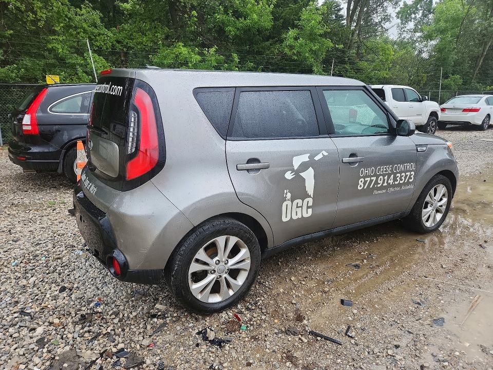 61187266 :رقم المزاد ، KNDJP3A58G7339389 vin ، 2016 Kia Soul مزاد بيع