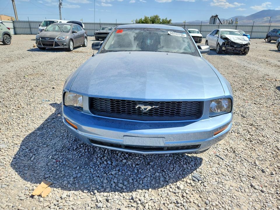 2006 Ford Mustang მანქანა იყიდება აუქციონზე, vin: 1ZVFT80N765251375, აუქციონის ნომერი: 60243796