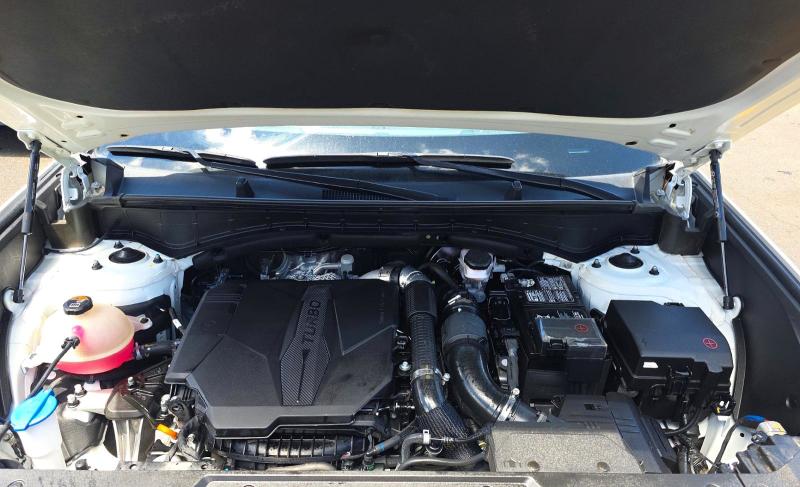 Aukcja sprzedaży 2024 Hyundai Santa Fe, vin: 5NMP3DGL8RH052874, numer aukcji: 62284746