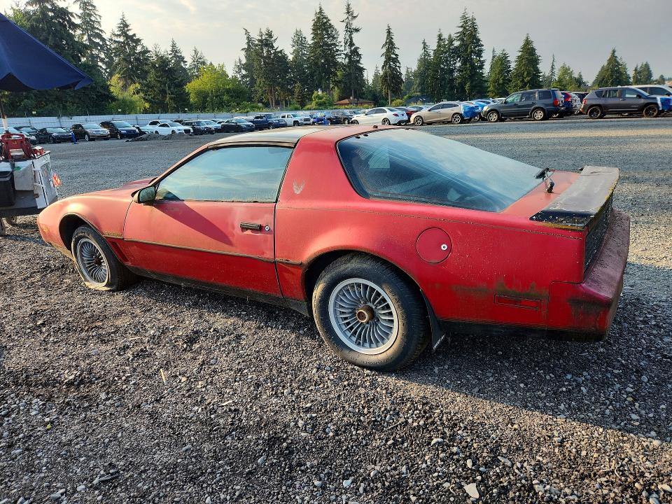 61086786 :رقم المزاد ، 1G2AW8779CL558084 vin ، 1982 Pontiac Firebird مزاد بيع