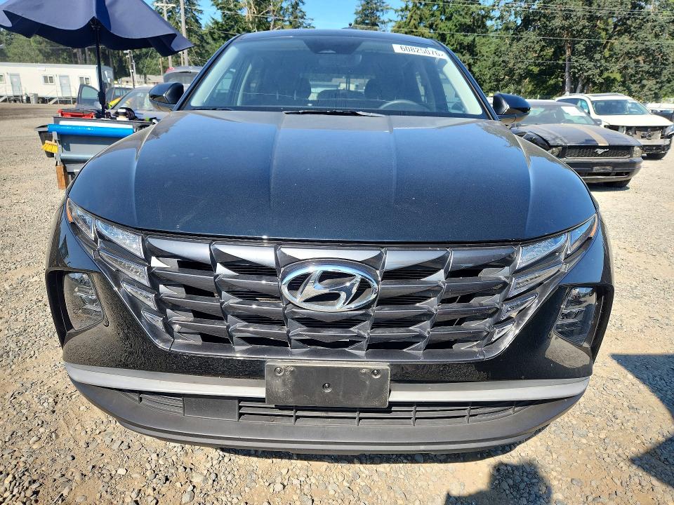 Продаж на аукціоні авто 2023 Hyundai Tucson, vin: 5NMJACAEXPH176576, номер лоту: 60825076