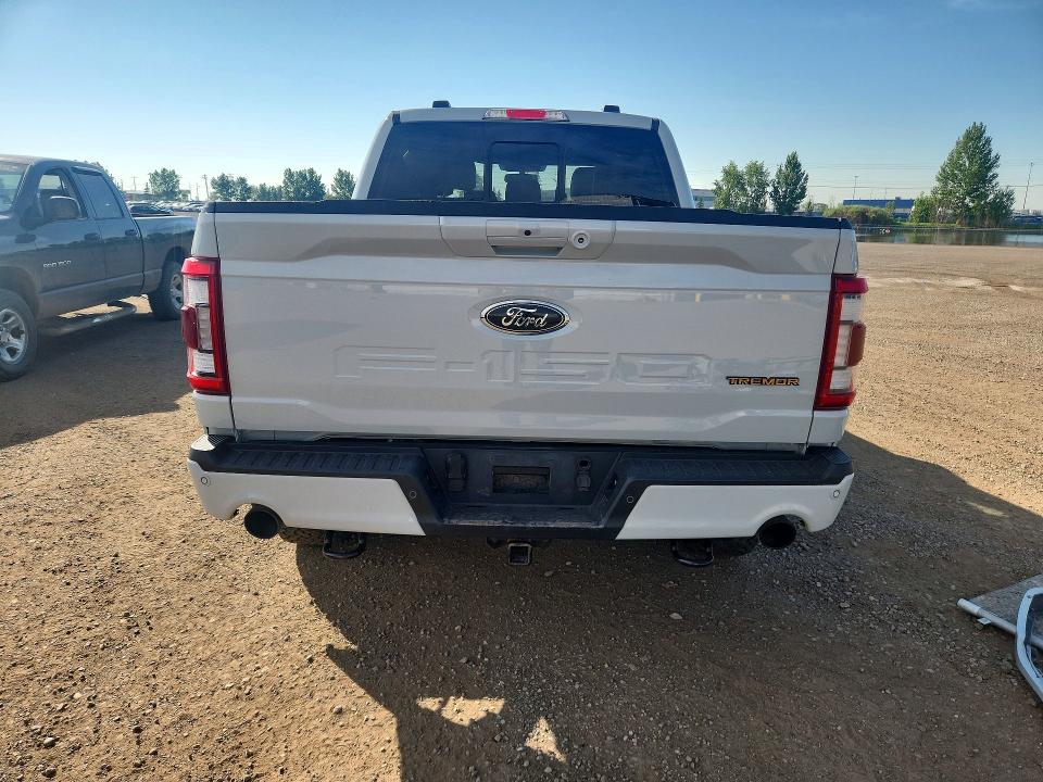 Продажа на аукционе авто 2023 Ford F150, vin: 1FTEW1E8XPFC95981, номер лота: 60581866
