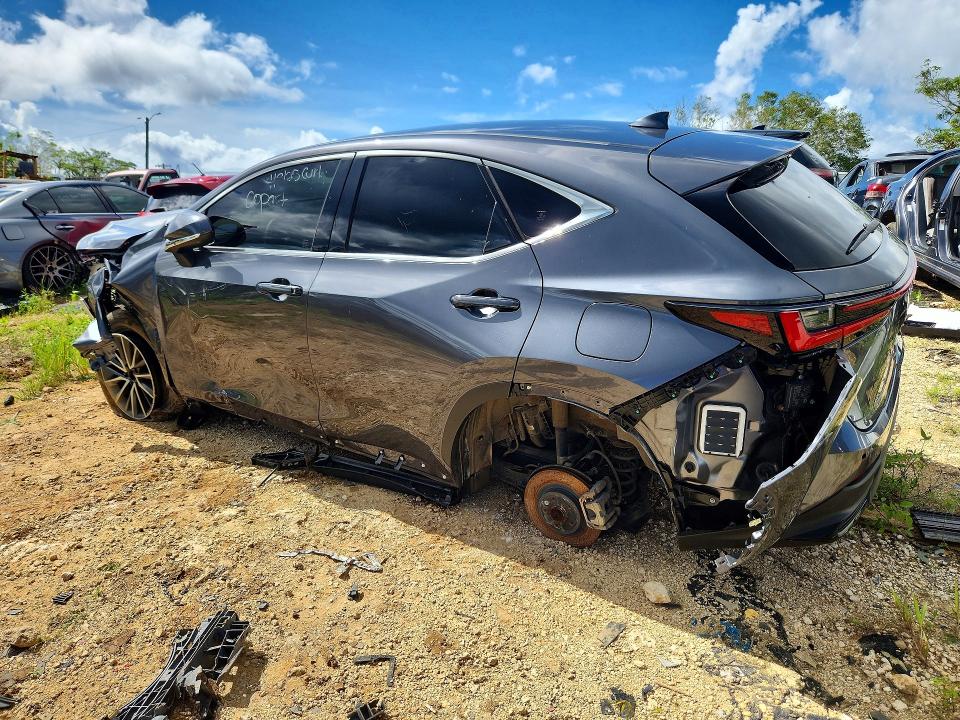 Auction sale of the 2024 Lexus Nx, vin: JTJGDCAZ8R2010534, lot number: 61400216
