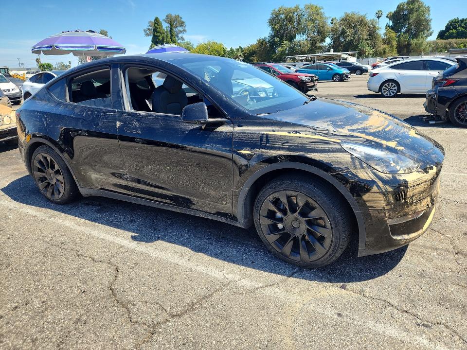 Aukcja sprzedaży 2024 Tesla Model Y, vin: 7SAYGAEE7RF983401, numer aukcji: 61809946
