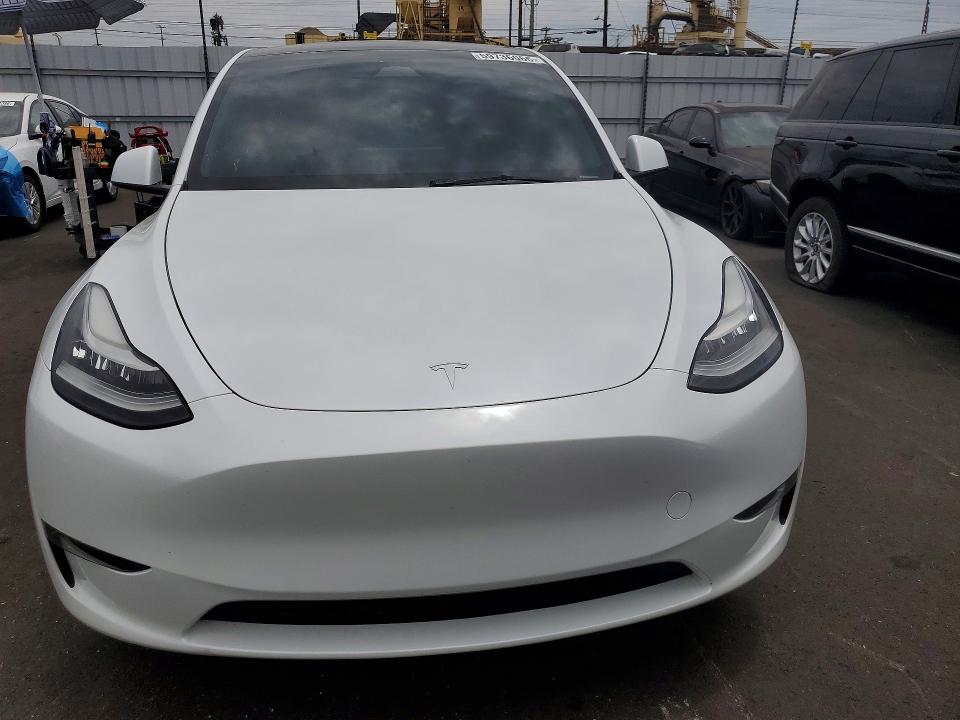 Продаж на аукціоні авто 2023 Tesla Model Y, vin: 7SAYGDEE0PA154245, номер лоту: 59736066
