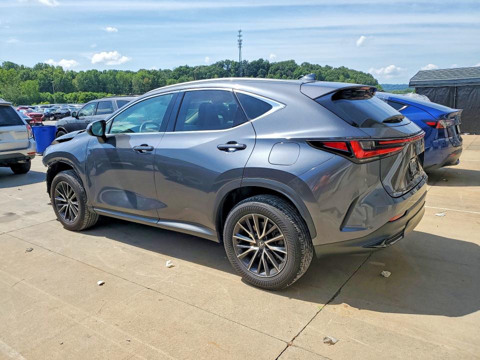 62200076 :رقم المزاد ، 2T2GDCAZ6RC013481 vin ، 2024 Lexus Nx مزاد بيع