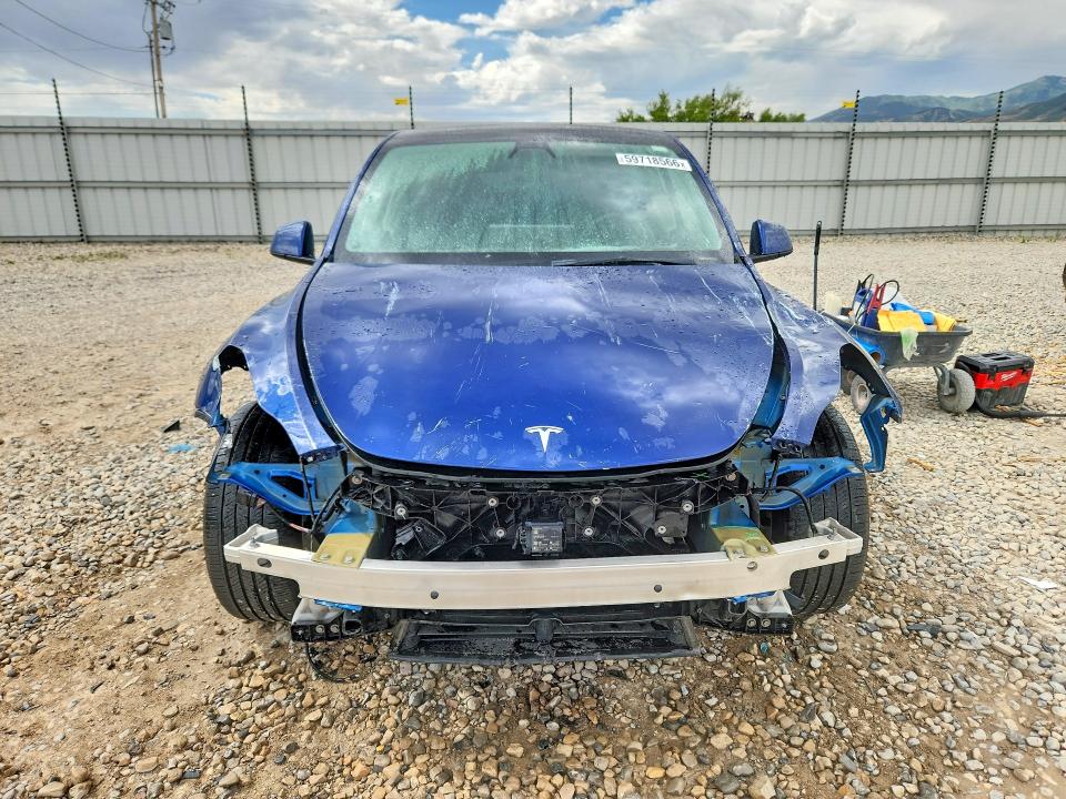 59718566 :رقم المزاد ، 5YJYGDEE2MF161502 vin ، 2021 Tesla Model Y مزاد بيع