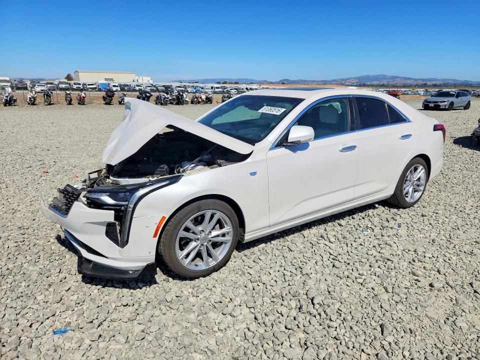 Auction sale of the 2021 Cadillac Ct4, vin: 1G6DJ5RK0M0148206, lot number: 61060516