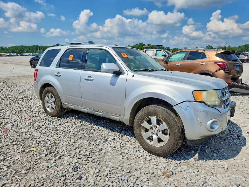 2010 Ford Escape მანქანა იყიდება აუქციონზე, vin: 1FMCU0E70AKA29491, აუქციონის ნომერი: 59694876