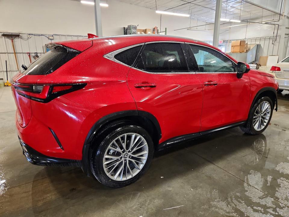 61799646 :رقم المزاد ، 2T2GGCEZ8SC086181 vin ، 2025 Lexus Nx مزاد بيع