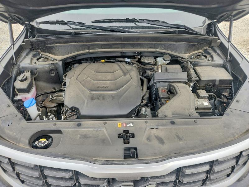 Aukcja sprzedaży 2025 Kia Telluride, vin: 5XYP6DGC1SG719890, numer aukcji: 59668076
