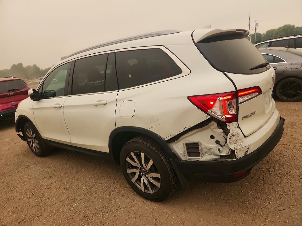 2021 Honda Pilot მანქანა იყიდება აუქციონზე, vin: 5FNYF6H74MB506685, აუქციონის ნომერი: 60482606