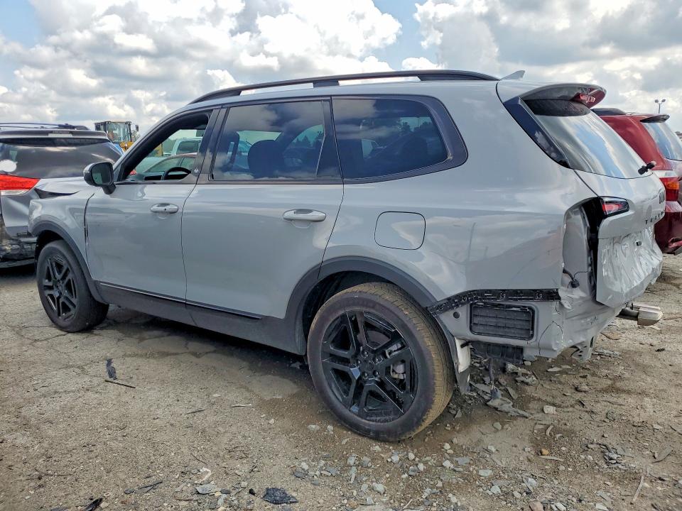 Продажа на аукционе авто 2025 Kia Telluride, vin: 5XYP3DGC4SG673139, номер лота: 58609656