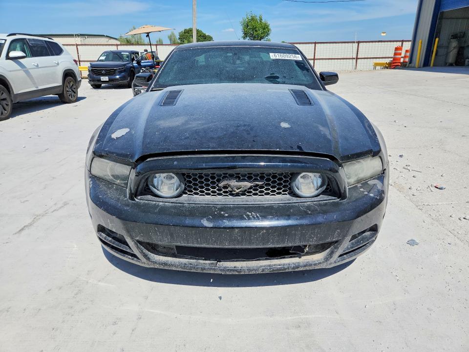 61609256 :رقم المزاد ، 1ZVBP8CF1D5243258 vin ، 2013 Ford Mustang مزاد بيع