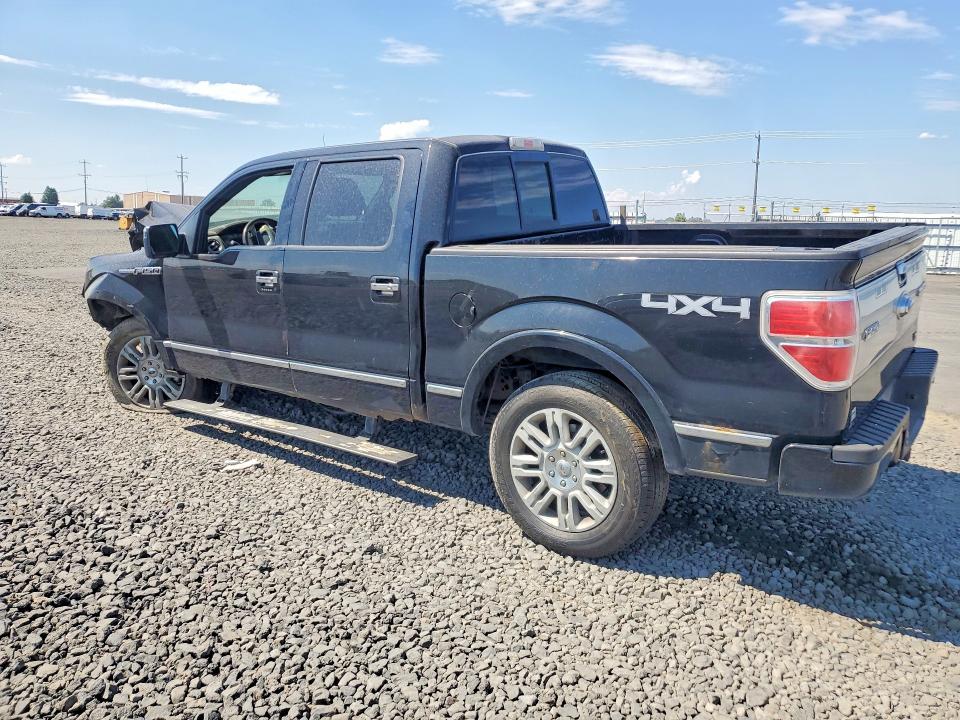 Продажа на аукционе авто 2010 Ford F150, vin: 1FTFW1EV9AFD28406, номер лота: 61369866