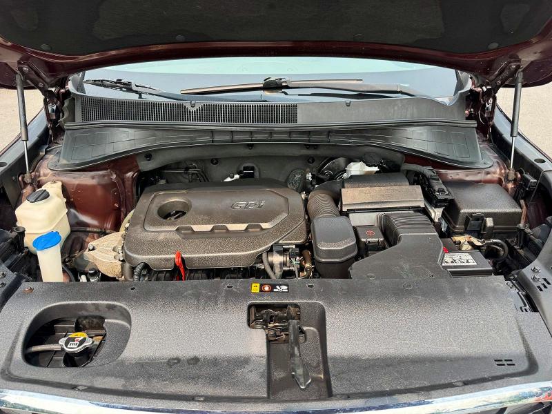 61528446 :رقم المزاد ، 5XYPGDA30KG439805 vin ، 2019 Kia Sorento مزاد بيع