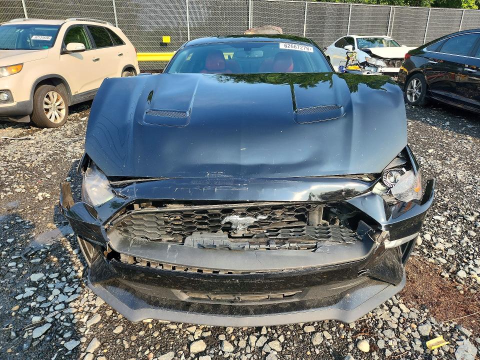 62667276 :رقم المزاد ، 1FA6P8TH2K5138043 vin ، 2019 Ford Mustang مزاد بيع