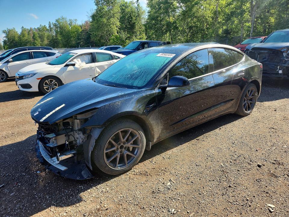 59566986 :رقم المزاد ، 5YJ3E1EA0PF507093 vin ، 2023 Tesla Model 3 مزاد بيع