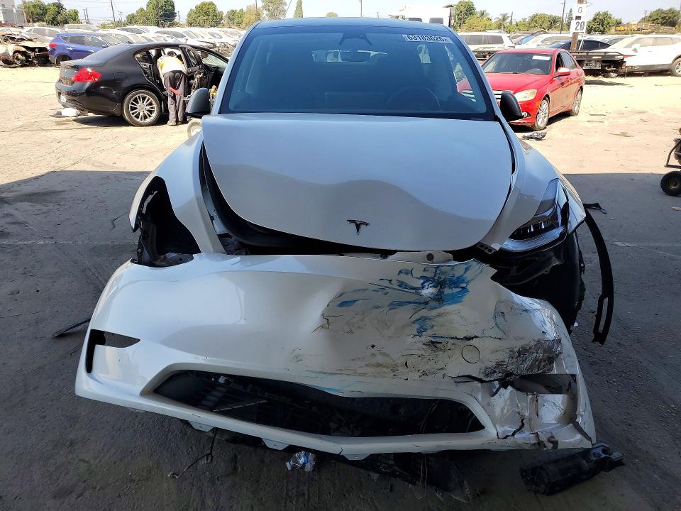 Продажа на аукционе авто 2023 Tesla Model Y, vin: 7SAYGDEE3PA113544, номер лота: 63183626