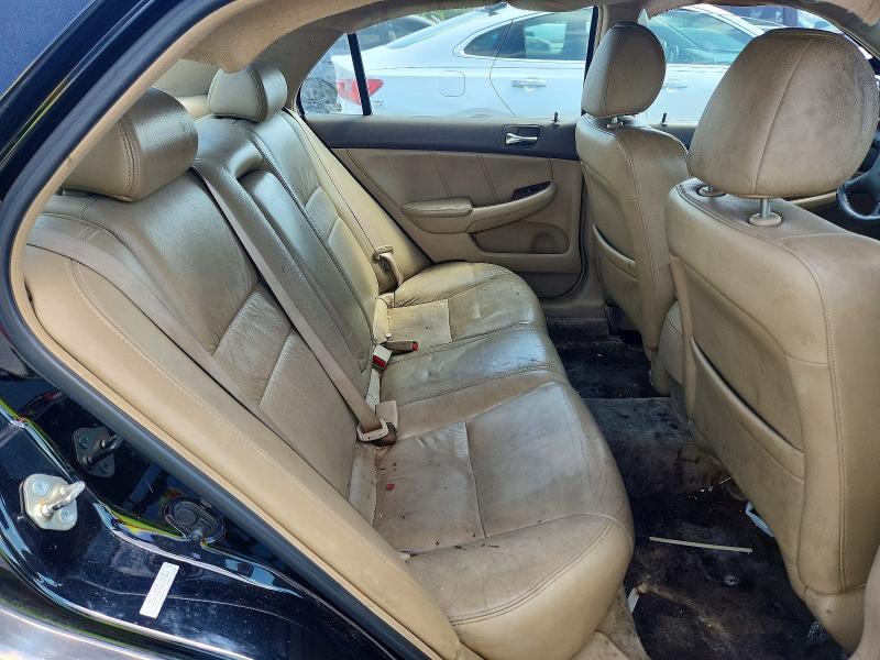 62049966 :رقم المزاد ، 1HGCM56876A142068 vin ، 2006 Honda Accord مزاد بيع