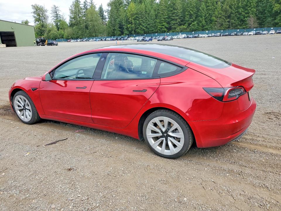 59618816 :رقم المزاد ، 5YJ3E1EA6PF449877 vin ، 2023 Tesla Model 3 مزاد بيع