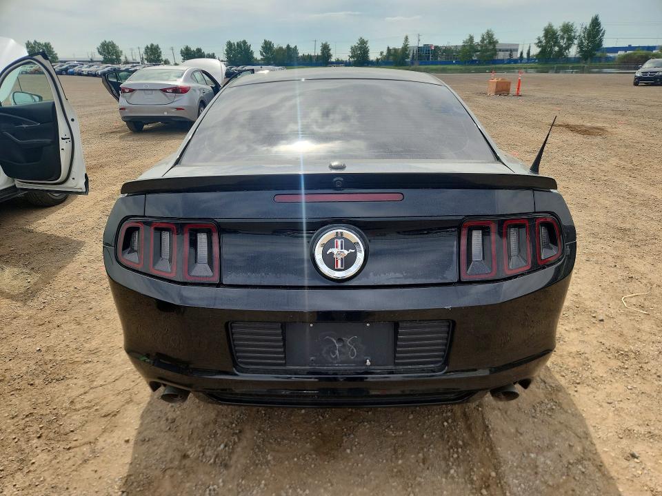 61576576 :رقم المزاد ، 1ZVBP8AM9D5214804 vin ، 2013 Ford Mustang مزاد بيع