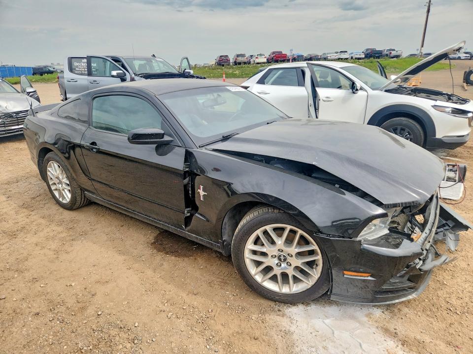 61576576 :رقم المزاد ، 1ZVBP8AM9D5214804 vin ، 2013 Ford Mustang مزاد بيع
