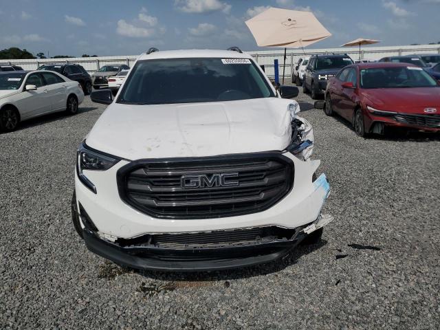 Продаж на аукціоні авто 2021 Gmc Terrain, vin: 3GKALMEV6ML313056, номер лоту: 60255056