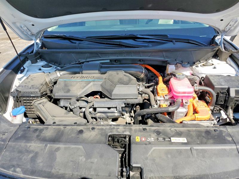Aukcja sprzedaży 2024 Hyundai Tucson, vin: KM8JCCD14RU140831, numer aukcji: 63482156