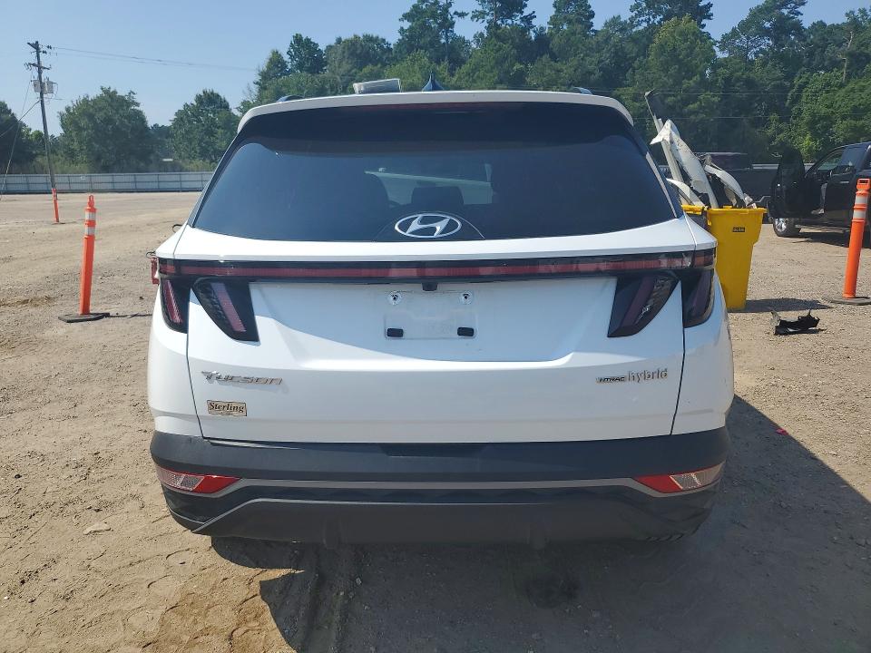 Продажа на аукционе авто 2024 Hyundai Tucson, vin: KM8JCCD1XRU206380, номер лота: 59335206