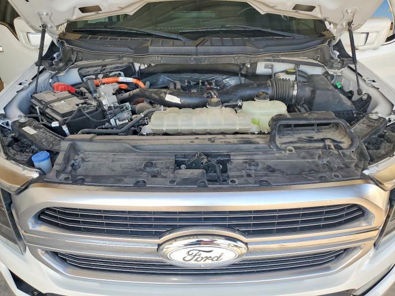 61904126 :رقم المزاد ، 1FTFW1ED6MFC47830 vin ، 2021 Ford F150 مزاد بيع