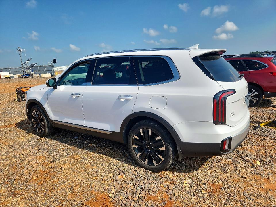 Продаж на аукціоні авто 2024 Kia Telluride, vin: 5XYP5DGC6RG493021, номер лоту: 59350266
