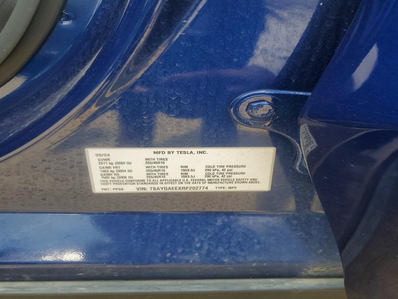Продаж на аукціоні авто 2024 Tesla Model Y, vin: 7SAYGAEEXRF202774, номер лоту: 63569706