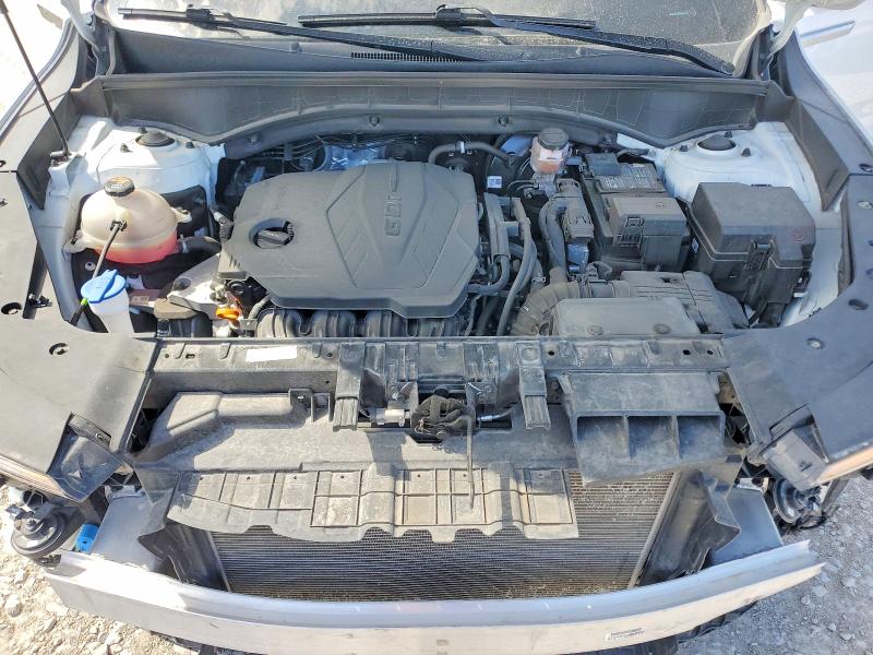 2024 Kia Sorento მანქანა იყიდება აუქციონზე, vin: 5XYRLDJC8RG256442, აუქციონის ნომერი: 60059926