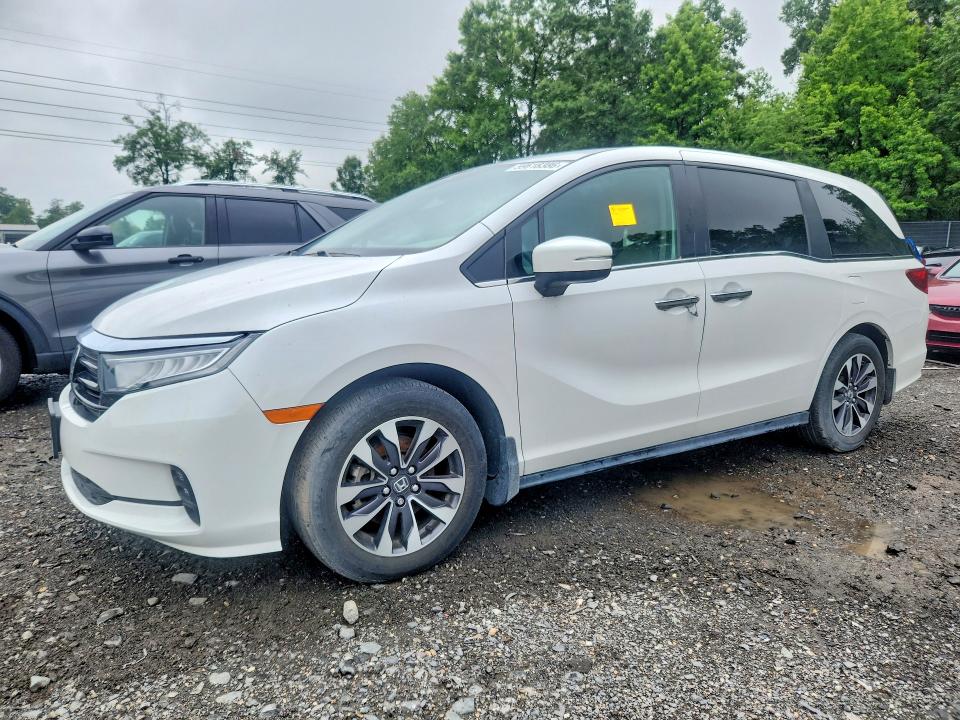 59618386 :رقم المزاد ، 5FNRL6H65RB045623 vin ، 2024 Honda Odyssey مزاد بيع