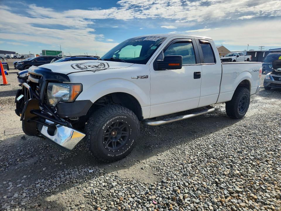 Auction sale of the 2010 Ford F150, vin: 1FTFX1EV7AKE29285, lot number: 60372516