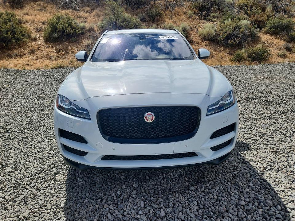 Продажа на аукционе авто 2018 Jaguar F-pace, vin: SADCK2FN4JA238830, номер лота: 61904776