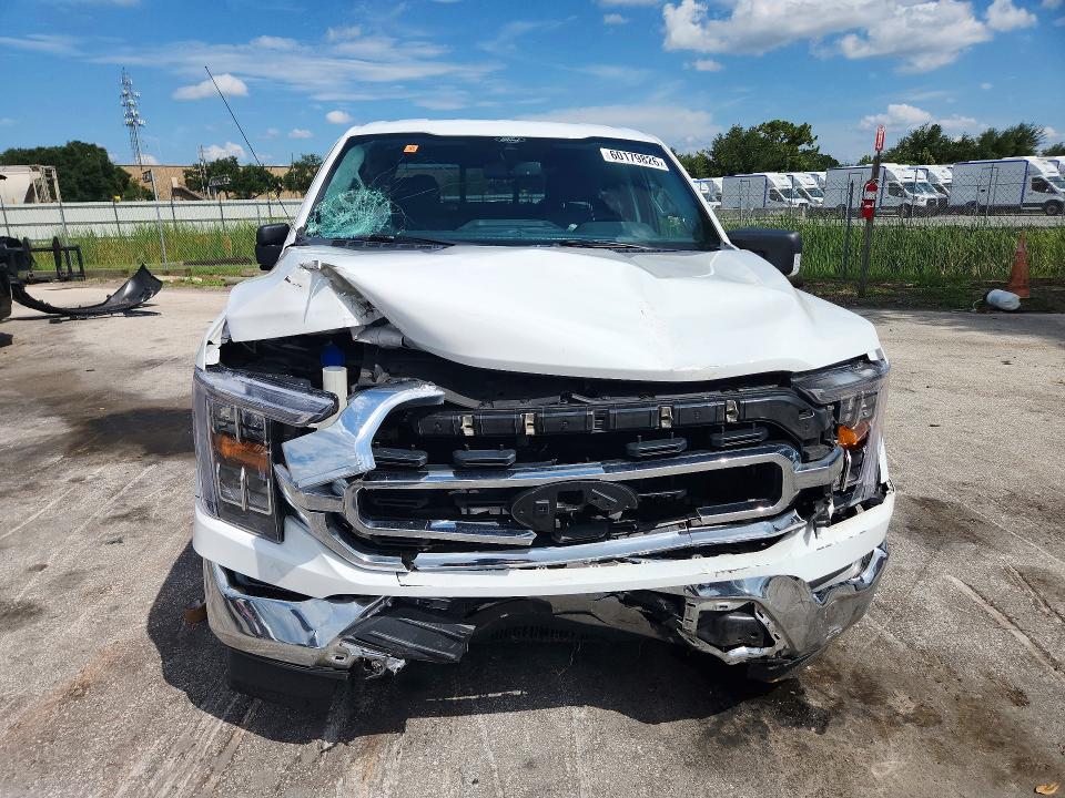 Продаж на аукціоні авто 2021 Ford F150, vin: 1FTEW1CP3MFA87608, номер лоту: 60179826