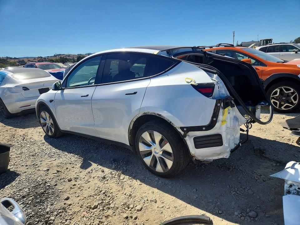 61926176 :رقم المزاد ، 5YJYGDEE1MF086050 vin ، 2021 Tesla Model Y مزاد بيع