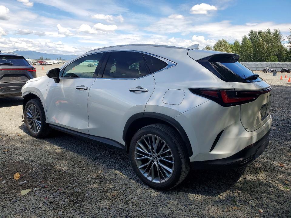 2023 Lexus Nx მანქანა იყიდება აუქციონზე, vin: 2T2GKCEZ9PC010278, აუქციონის ნომერი: 62100456