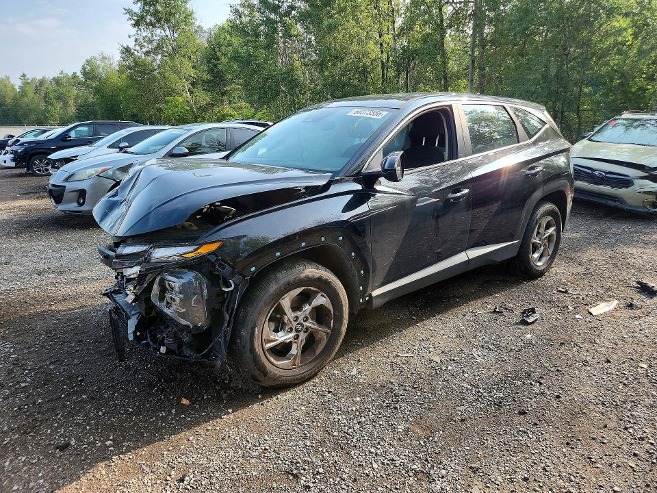 Продажа на аукционе авто 2023 Hyundai Tucson, vin: KM8JBCAE0PU249455, номер лота: 60373556