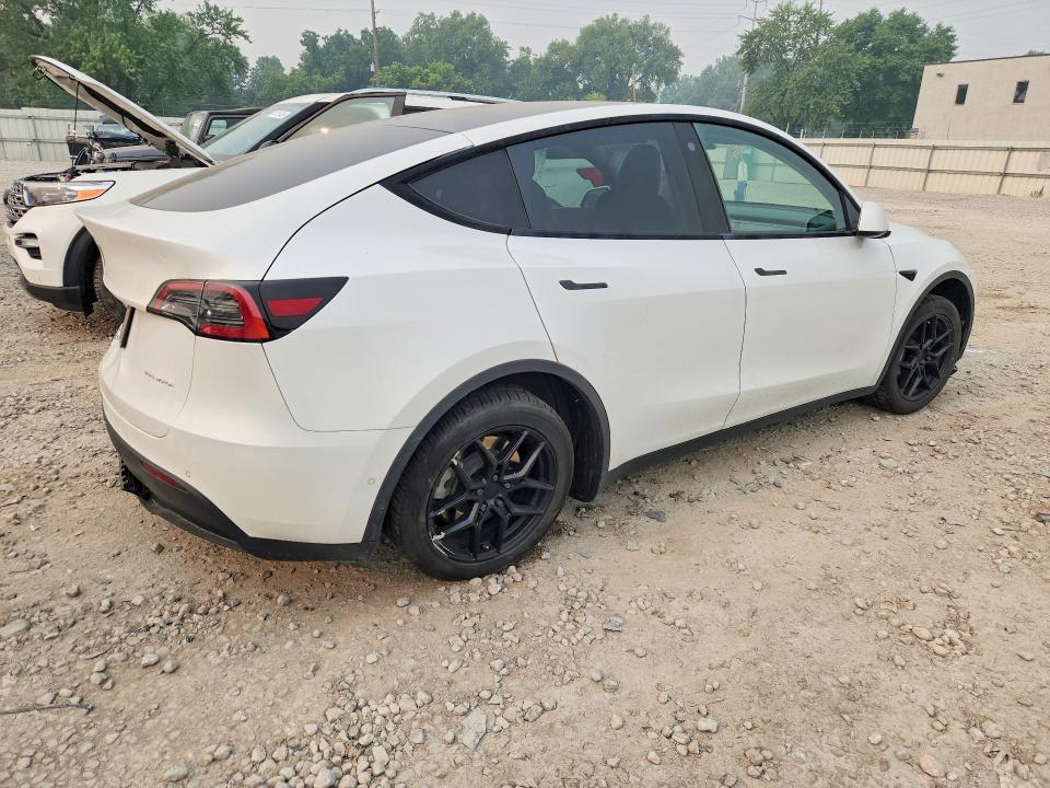 61533866 :رقم المزاد ، 5YJYGDEE8MF210976 vin ، 2021 Tesla Model Y مزاد بيع