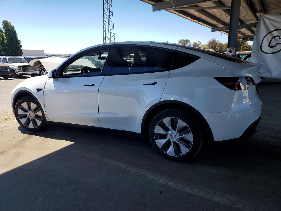 Auction sale of the 2023 Tesla Model Y, vin: 7SAYGDEE3PF742918, lot number: 59905486