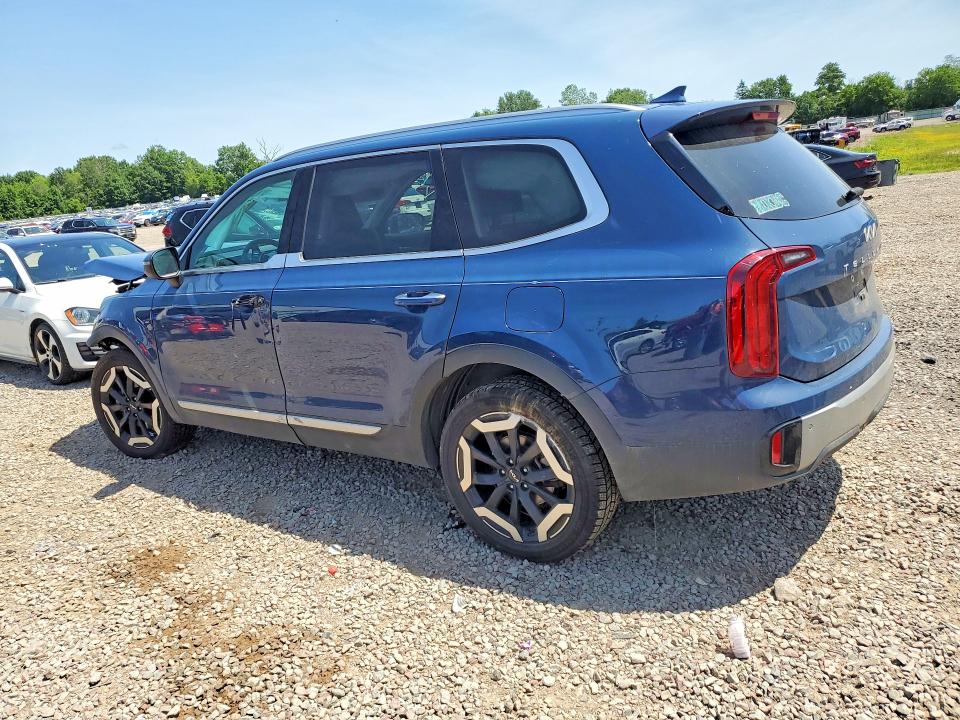 Aukcja sprzedaży 2024 Kia Telluride, vin: 5XYP6DGC6RG451011, numer aukcji: 60070406