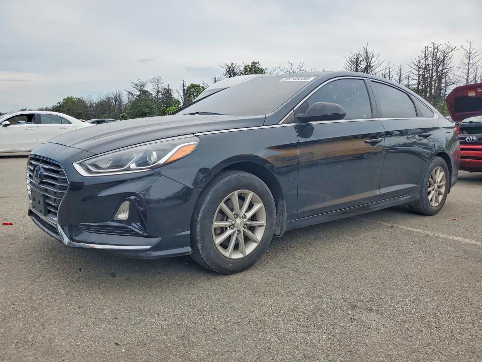 59743336 :رقم المزاد ، 5NPE24AF6KH811365 vin ، 2019 Hyundai Sonata مزاد بيع
