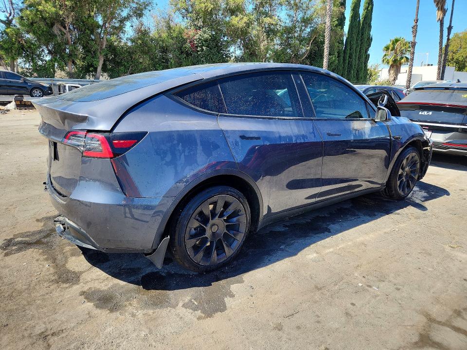 60846376 :رقم المزاد ، 5YJYGDED8MF124395 vin ، 2021 Tesla Model  Y مزاد بيع