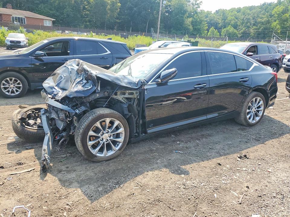 Auction sale of the 2022 Cadillac Ct5, vin: 1G6DN5RK3N0118218, lot number: 61333846