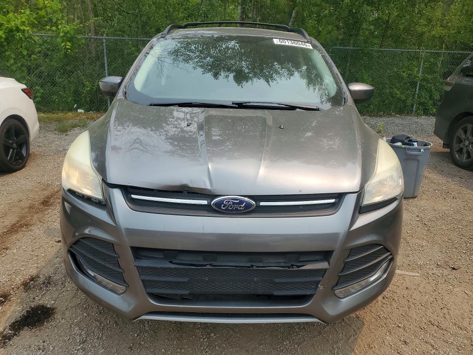 Aukcja sprzedaży 2014 Ford Escape, vin: 1FMCU0G95EUE42662, numer aukcji: 60136046