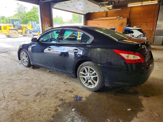 59861466 :رقم المزاد ، 1N4AA51E19C860984 vin ، 2009 Nissan Maxima مزاد بيع