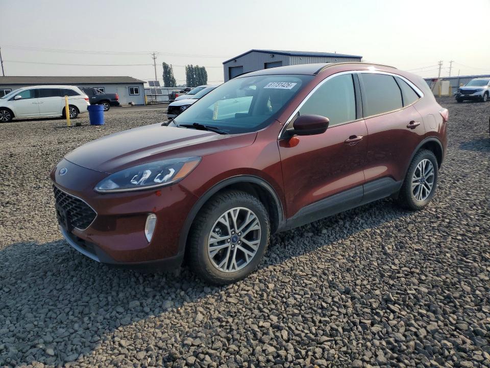 2021 Ford Escape მანქანა იყიდება აუქციონზე, vin: 1FMCU9H94MUB12903, აუქციონის ნომერი: 61731426